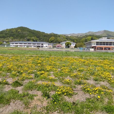 IMG20220506123320